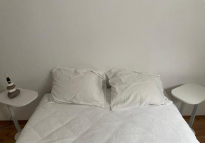 Le Wolf - 1 Chambre dans un T3 - 5mn tram du centre ville - 15mn tram Gare TGV Mulhouse - Wifi - Parking